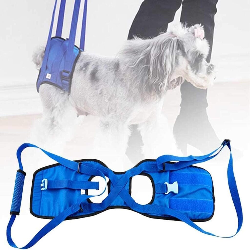 Arnés de levantamiento de patas traseras para perros